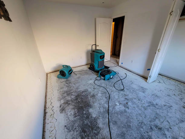 Best Flood restoration services  in Rock Falls, IL