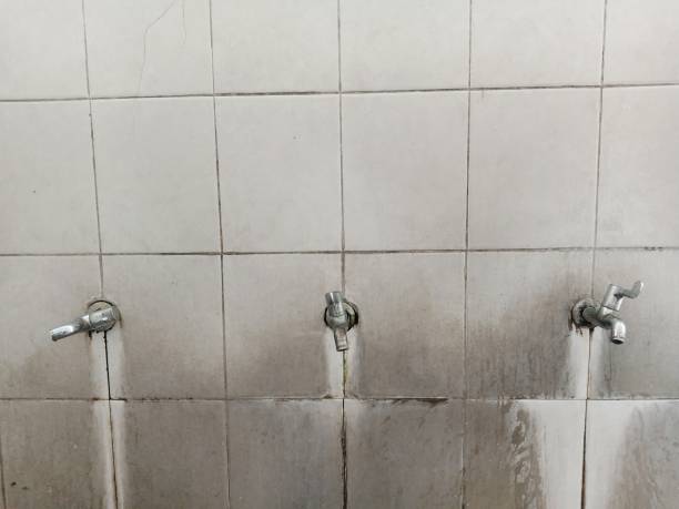 Best 24/7 water damage repair  in Rock Falls, IL