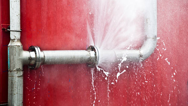 Best Water damage contractors near me  in Rock Falls, IL